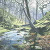 Blow Gill. Acrylic. Sold