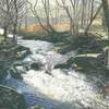 Baysdale Beck. Gouache. 230x160mm. Sold
