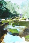 River Esk, East Arnecliff Wood #3. Acrylic. Stage 1