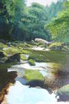  River Esk, East Arnecliff Wood #3. Acrylic.  Stage 3