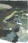 River Esk, East Arnecliff Wood #2. Acrylic. Stage 2