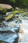 River Esk, East Arnecliff Wood #2. Acrylic. Stage 4