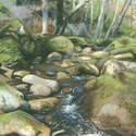 13. River Esk, East Arnecliff Wood #3. Acrylic. 2010. 260x180mm