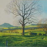 No.12. Roseberry Topping From Dikes Lane. Acrylic. 2012. 500x220mm